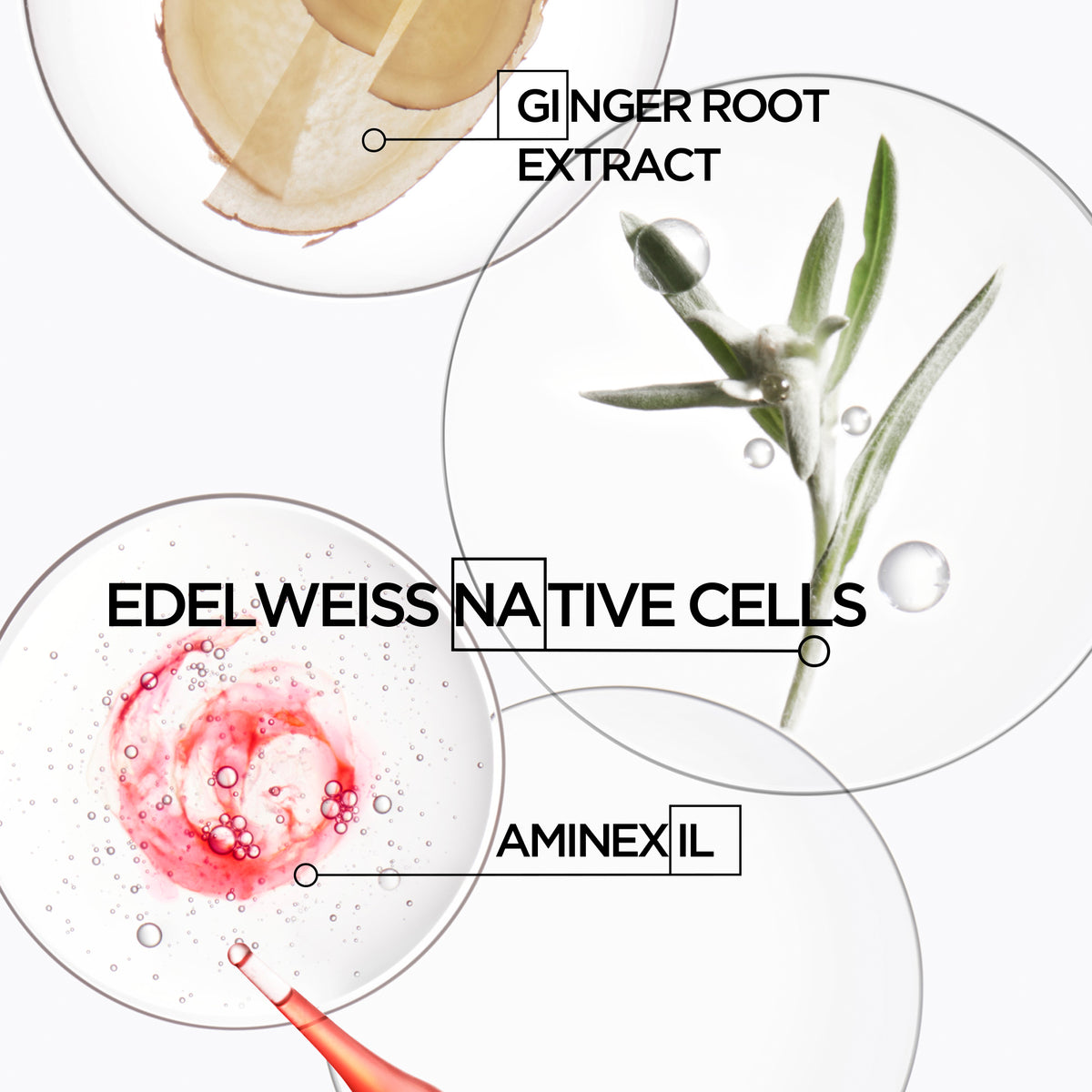 Genesis Anti Hair-Fall Collection Package